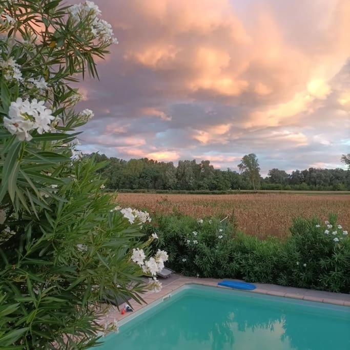 Villa Malisa La Voulte-sur-Rhone Esterno foto